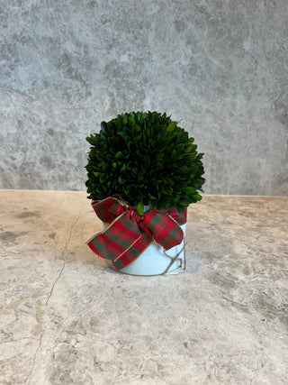 Draped in Red and Green - Small