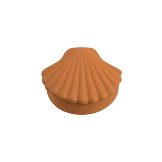 LOS OBJETOS DECORATIVOS - SEASHELL BOX-AMBER