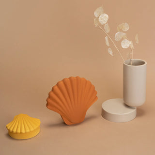 SEASHELL BOX-HONEY
