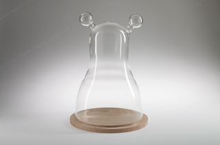 Bear Shape Cake Dome