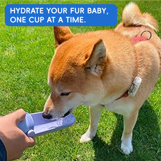 REDMINUT - PORTABLE PETS WATER DRINKING BOTTLE - 420ml (Blue)