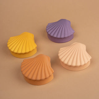 SEASHELL BOX-HONEY