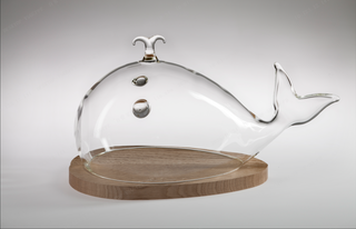 Whale Cake Dome