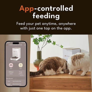 PetSnowy - Wi-Fi Enabled Cat Feeder Automatic with APP Control for Dry Food