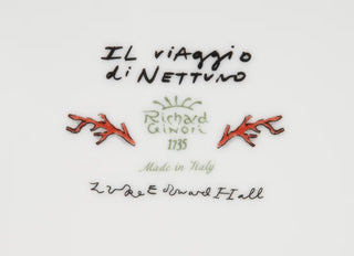 Neptune Series Coffee Cup and Saucer Set - Pink