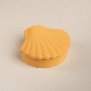 SEASHELL BOX-HONEY