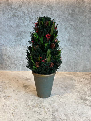 Fiery Trees and Silver Flowers