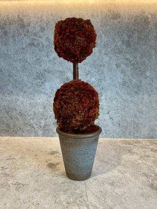 Red Holly Shandong Pot Tower Medium