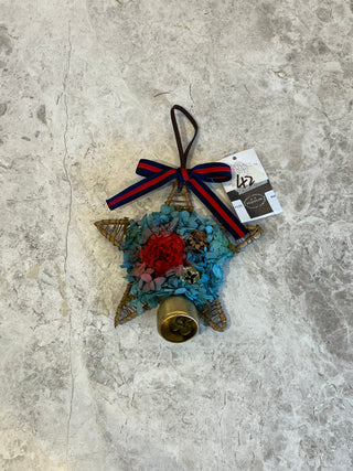 Red Green Christmas Star Pendant