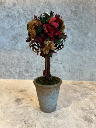 Rose Pinecone Cockscomb Podocarpus Flower Ball Tree