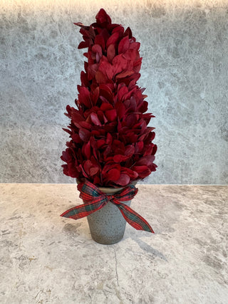 Wheat Bow Oblique Stack